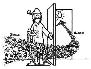 Herbal Bath, Skunk Odor Removal, and Other Country Lore Image